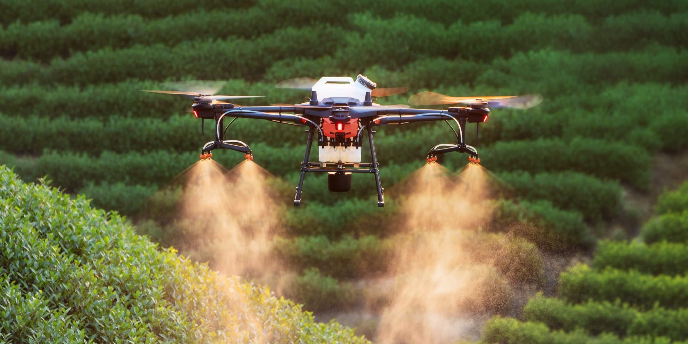Crop Monitoring